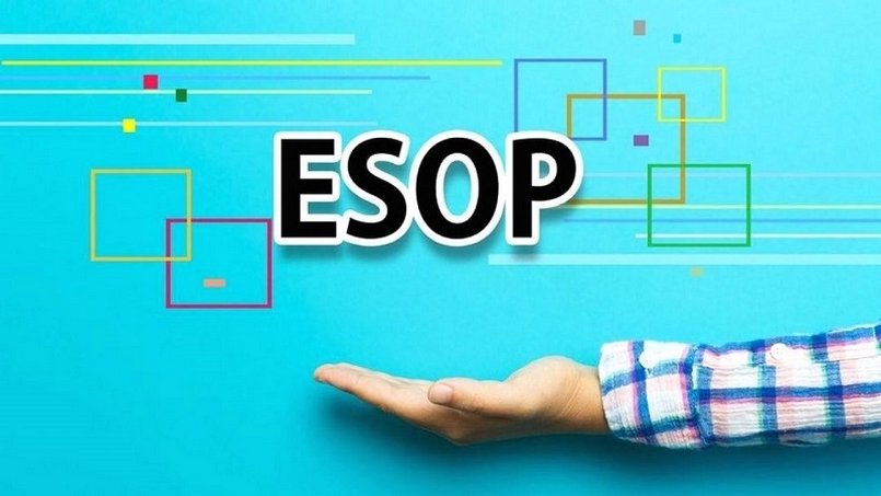 Cổ phiếu ESOP có những đặc điểm nổi bật nào?