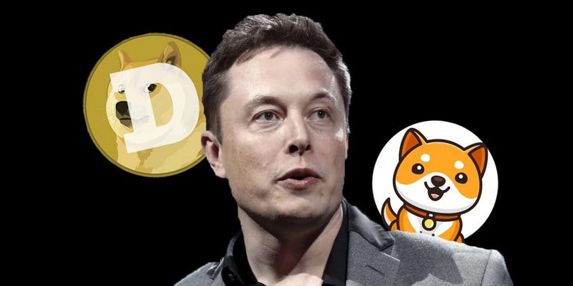 Elon Musk nhắc tới Baby Doge Coin trong một bài tweet